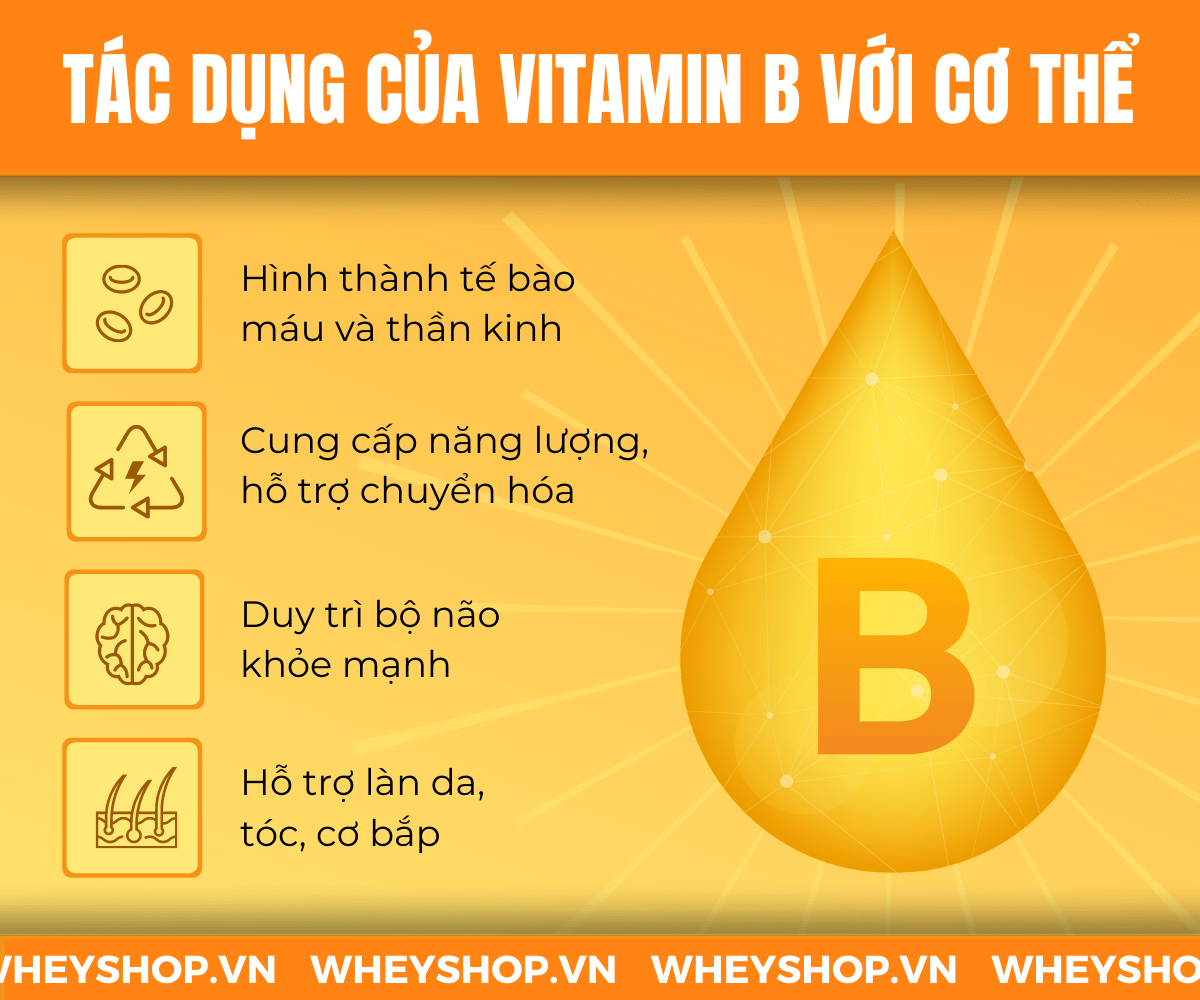 tác dụng của vitamin B