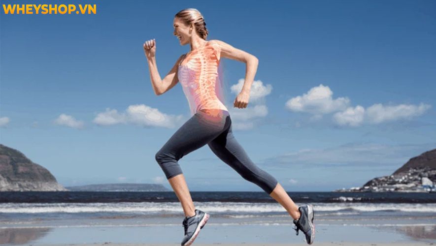 Plank được xem như là bài tập cơ bản và hiệu quả mà bất kỳ người nào tập gym cũng cần phải biết. Tuy nhiên, làm sao để tập Plank giảm cân toàn thân thì lại...
