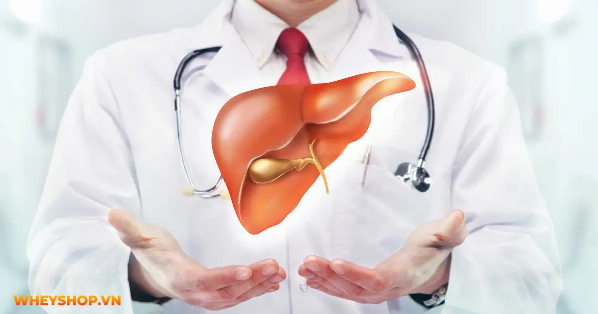 tra-sua-bao-nhieu-calo-uong-tra-sua-co-map-khong-04-min