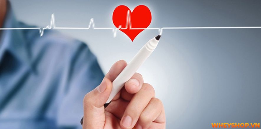 Nếu bạn đã quen với việc uống trà xanh hàng ngày nhưng không biết trà xanh có tác dụng gì thì bài viết dưới đây WheyShop sẽ giúp bạn trả lời câu hỏi trà xanh...