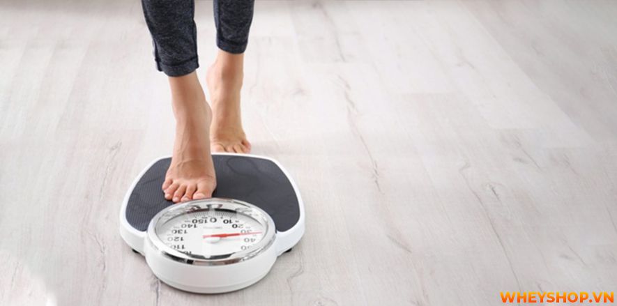 Nếu bạn đã quen với việc uống trà xanh hàng ngày nhưng không biết trà xanh có tác dụng gì thì bài viết dưới đây WheyShop sẽ giúp bạn trả lời câu hỏi trà xanh...
