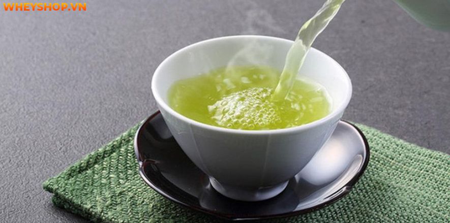 Nếu bạn đã quen với việc uống trà xanh hàng ngày nhưng không biết trà xanh có tác dụng gì thì bài viết dưới đây WheyShop sẽ giúp bạn trả lời câu hỏi trà xanh...
