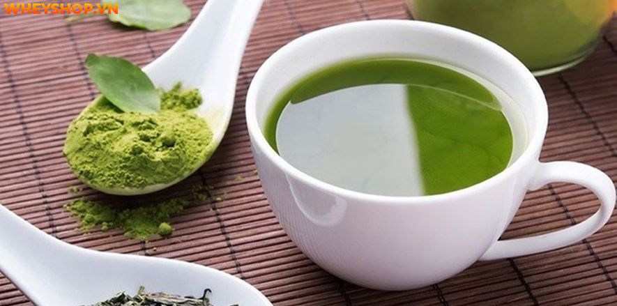 Nếu bạn đã quen với việc uống trà xanh hàng ngày nhưng không biết trà xanh có tác dụng gì thì bài viết dưới đây WheyShop sẽ giúp bạn trả lời câu hỏi trà xanh...