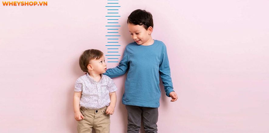 Nếu bạn đang băn khoăn trẻ sơ sinh tăng cân như thế nào? Trẻ sơ sinh tăng bao nhiêu kg trong tháng đầu là phù hợp thì hãy cùng WheyShop tham khảo bài viết...