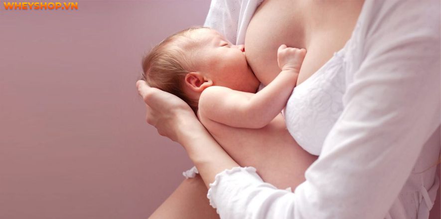Nếu bạn đang băn khoăn trẻ sơ sinh tăng cân như thế nào? Trẻ sơ sinh tăng bao nhiêu kg trong tháng đầu là phù hợp thì hãy cùng WheyShop tham khảo bài viết...