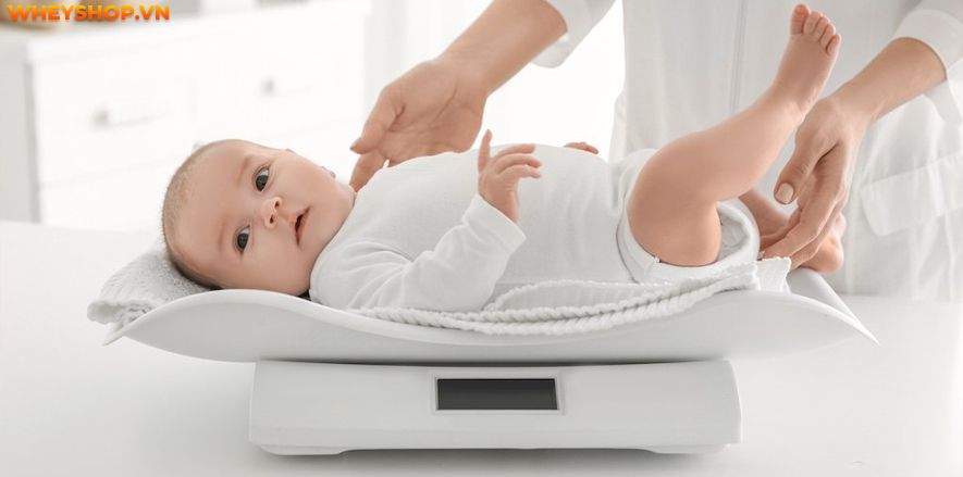 Nếu bạn đang băn khoăn trẻ sơ sinh tăng cân như thế nào? Trẻ sơ sinh tăng bao nhiêu kg trong tháng đầu là phù hợp thì hãy cùng WheyShop tham khảo bài viết...