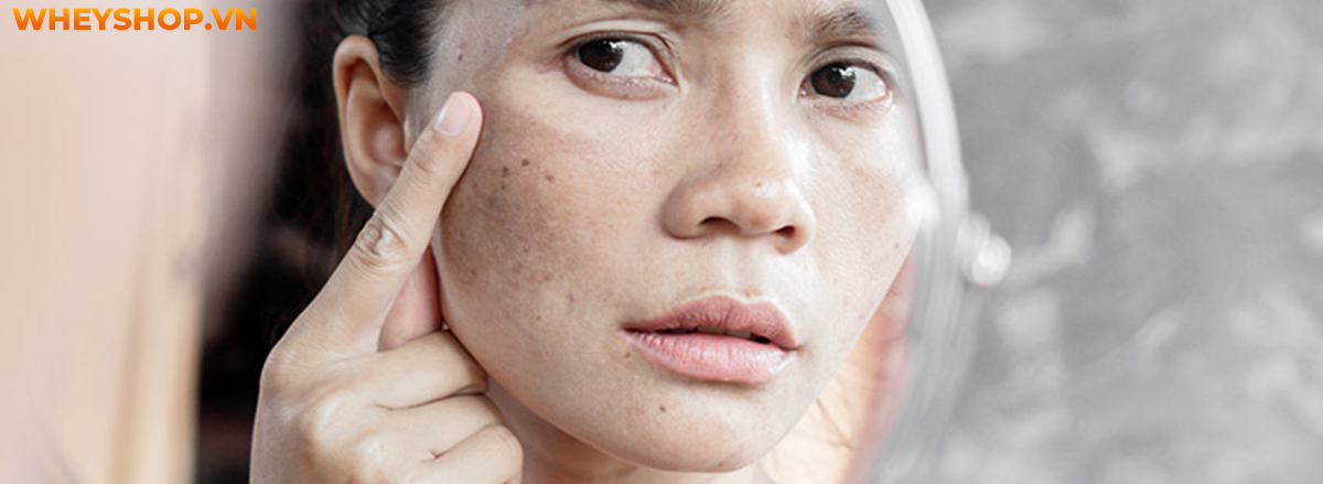Cần tây là thực phẩm dinh dưỡng quen thuộc hằng ngay, tuy nhiên bạn đã biết hết lợi ích về cần tây chưa? Hãy cùng WheyShop tham khảo chi tiết qua bài viết...