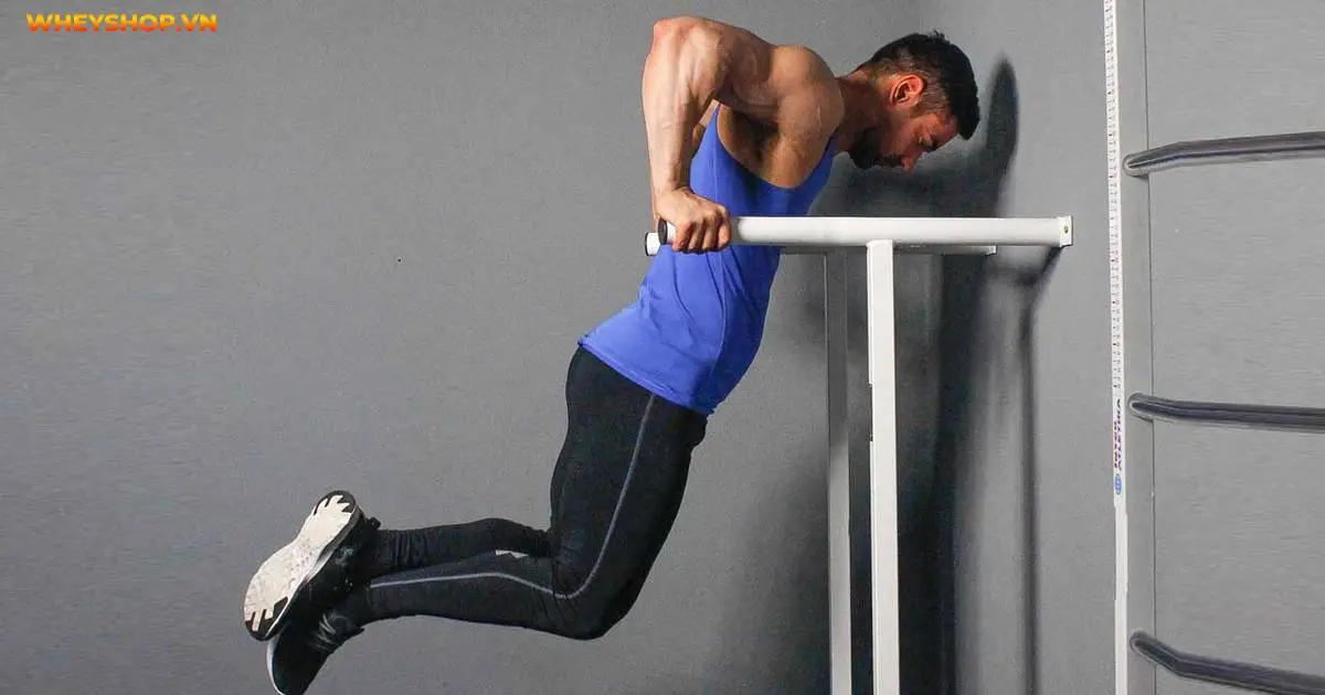 triceps-la-gi-goi-y-10-bai-tap-triceps-don-gian-1