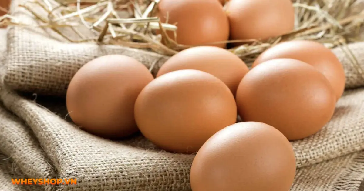 trung-ga-cong-nghiep-co-no-duoc-khong-03-min