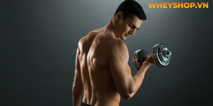 Trên đây là các bài tập giúp tự tập thể hình tại nhà đơn giản. Hi vọng sẽ giúp bạn sớm có thân hình như ý. Hãy áp dụng và luyện tập thường xuyên để thấy hiệu quả nhé.