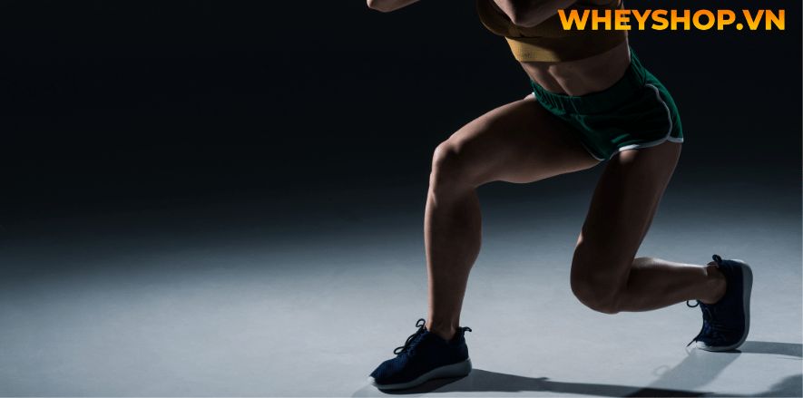 Trên đây là các bài tập giúp tự tập thể hình tại nhà đơn giản. Hi vọng sẽ giúp bạn sớm có thân hình như ý. Hãy áp dụng và luyện tập thường xuyên để thấy hiệu quả nhé.