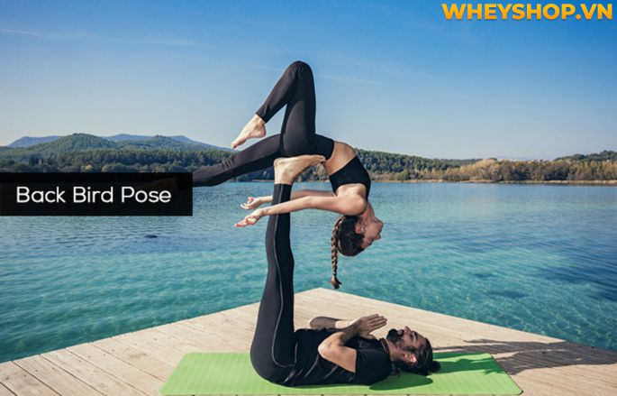 Acro Yoga là gì? Cùng WheyShop tìm hiểu về lợi ích tuyệt vời của Acro Yoga và hướng dẫn cách tập dành cho người mới qua bài viết...