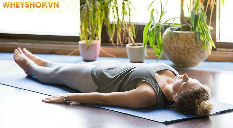 Yoga Nidra là loại hình Yoga lâu đời có nguồn gốc từ Ấn Độ, là loại hình có thể mang đến cho sức khỏe rất nhiều lợi ích tuyệt vời. Đặc biệt, loại hình yoga...