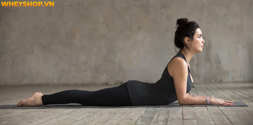 Nếu như bạn là người mới bắt đầu tập Yoga thì hẳn sẽ cảm thấy khá băn khoăn về phương pháp tập Yoga Flow là gì. Bài viết này, WheyShop sẽ cùng các bạn tìm...