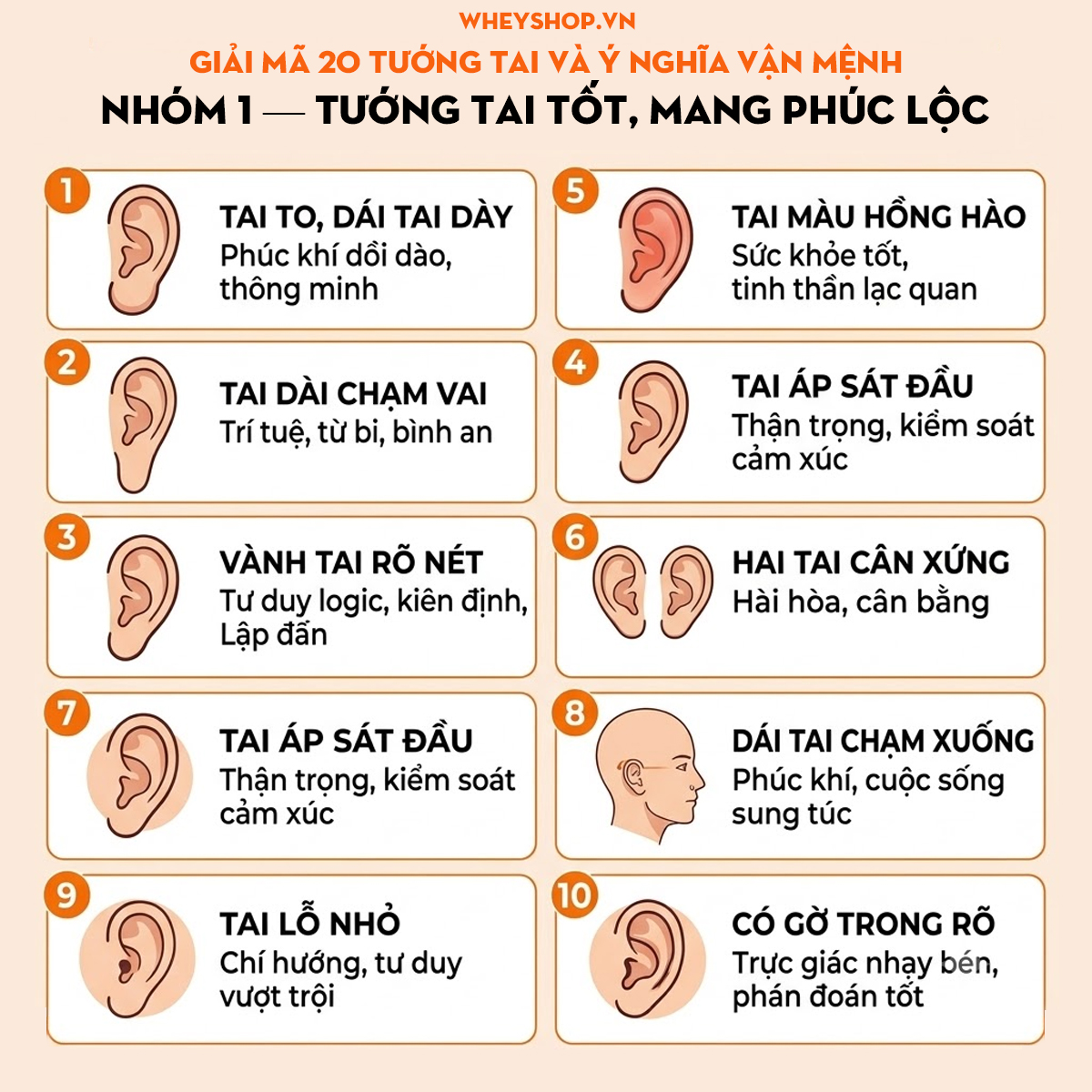 Tướng tai đẹp là gì? 20 tướng tai & ý nghĩa vận mệnh