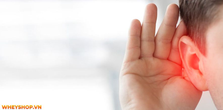 Bị ù tai phải nam là dấu hiệu đoán điềm may mắn hay xui xẻo? Cùng WheyShop giải đáp thắc mắc ù tai phải nam theo giờ qua bài...