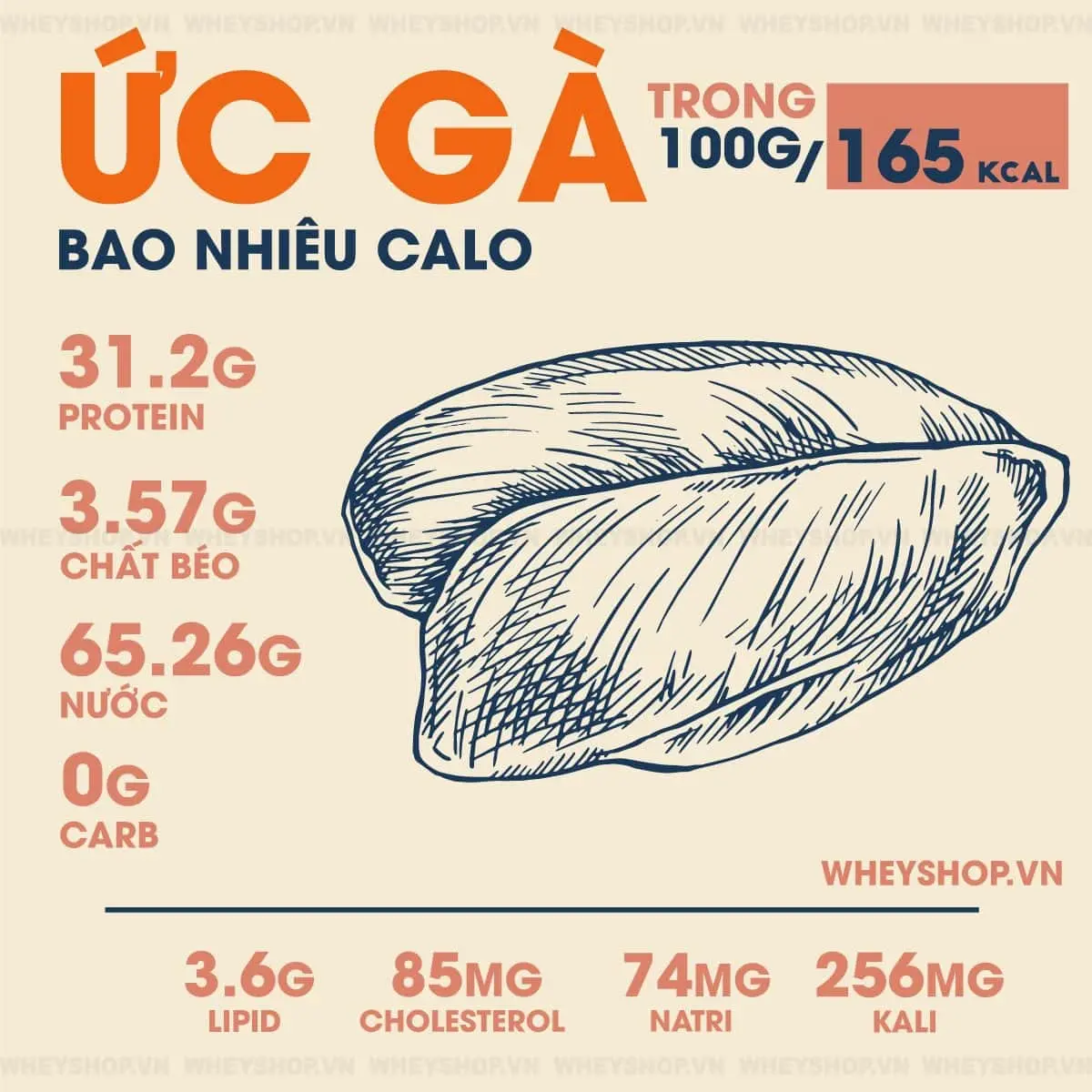 uc-ga-bao-nhieu-calo