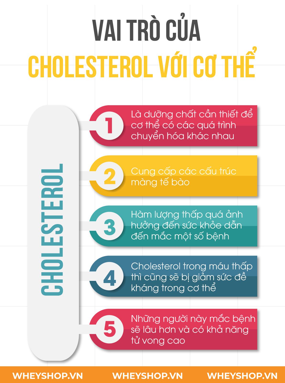 Cholesterol là gì, lợi ích và vai trò của cholesterol với sức khỏe toàn diện. Cùng WheyShop tìm hiểu chi tiết về cholesterol qua bài viết ngay sau đây nhé...