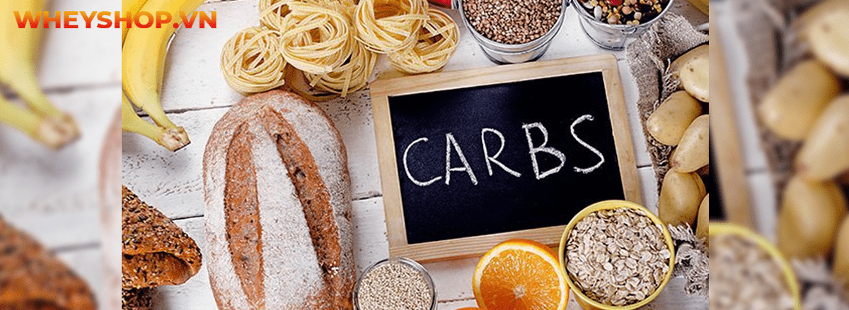 Carb là gì? Tìm hiểu chi tiết về carb cùng 15 sự thật về carb mà bạn chưa từng biết tới qua bài viết sau đây cùng WheyShop nhé ....