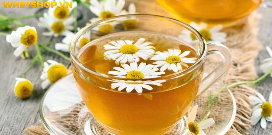 Uống gì trước khi đi ngủ để giảm cân hiệu quả? Cùng WheyShop tìm hiểu ngay 15 thức uống hỗ trợ giảm cân giảm mỡ hiệu quả tại...