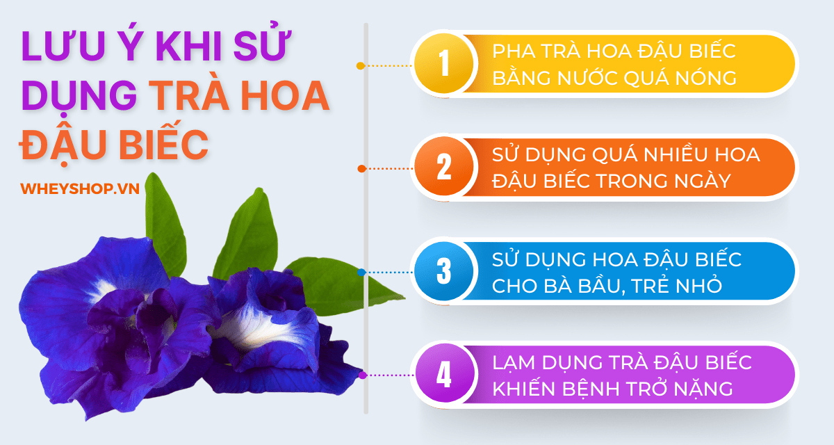 Hoa đậu biếc được rất nhiều người sử dụng để làm đồ uống, tuy nhiên, khi sử dụng, chúng ta cần tìm hiểu rõ uống hoa đậu biếc nhiều có tốt không ? Bài viết...Hoa đậu biếc được rất nhiều người sử dụng để làm đồ uống, tuy nhiên, khi sử dụng, chúng ta cần tìm hiểu rõ uống hoa đậu biếc nhiều có tốt không ? Bài viết...