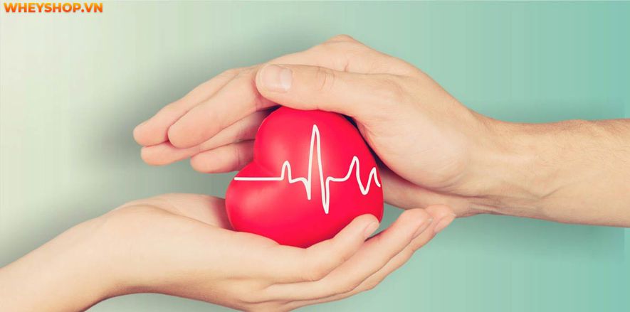 Hoa đậu biếc được rất nhiều người sử dụng để làm đồ uống, tuy nhiên, khi sử dụng, chúng ta cần tìm hiểu rõ uống hoa đậu biếc nhiều có tốt không ? Bài viết...