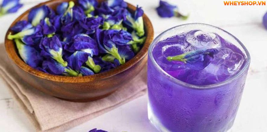 Hoa đậu biếc được rất nhiều người sử dụng để làm đồ uống, tuy nhiên, khi sử dụng, chúng ta cần tìm hiểu rõ uống hoa đậu biếc nhiều có tốt không ? Bài viết...