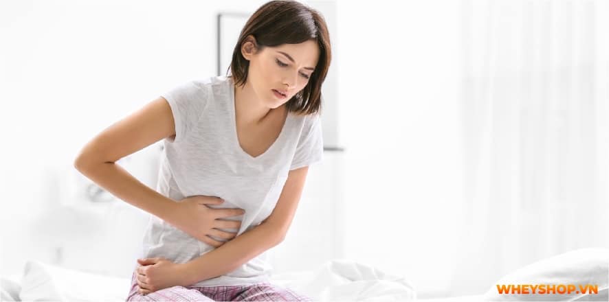 Mass Gainer luôn là dòng sữa tăng cân vô cùng hiệu quả được nhiều người tin dùng. Cùng Whey Shop giải đáp thắc mắc uống Mass có hại không....