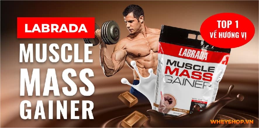 Mass Gainer luôn là dòng sữa tăng cân vô cùng hiệu quả được nhiều người tin dùng. Cùng Whey Shop giải đáp thắc mắc uống Mass có hại không....