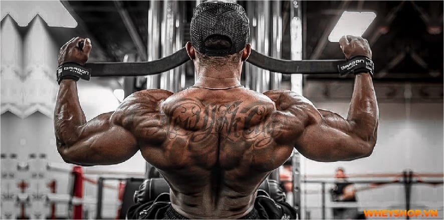 Mass Gainer luôn là dòng sữa tăng cân vô cùng hiệu quả được nhiều người tin dùng. Cùng Whey Shop giải đáp thắc mắc uống Mass có hại không....