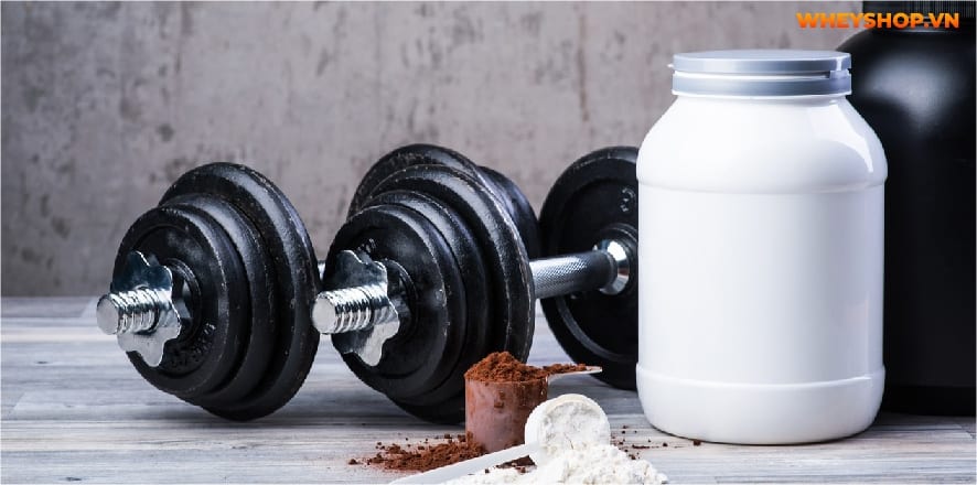Mass Gainer luôn là dòng sữa tăng cân vô cùng hiệu quả được nhiều người tin dùng. Cùng Whey Shop giải đáp thắc mắc uống Mass có hại không....