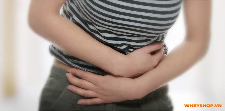 Mass Gainer luôn là dòng sữa tăng cân vô cùng hiệu quả được nhiều người tin dùng. Cùng Whey Shop giải đáp thắc mắc uống Mass có hại không....