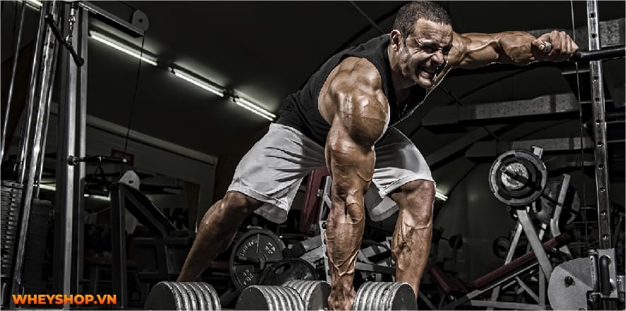 Mass Gainer luôn là dòng sữa tăng cân vô cùng hiệu quả được nhiều người tin dùng. Cùng Whey Shop giải đáp thắc mắc uống Mass có hại không....