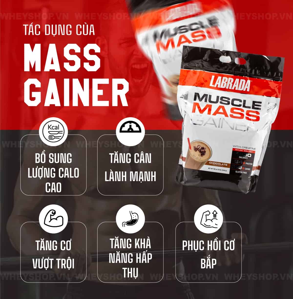 Mass Gainer luôn là dòng sữa tăng cân vô cùng hiệu quả được nhiều người tin dùng. Cùng Whey Shop giải đáp thắc mắc uống Mass có hại không....