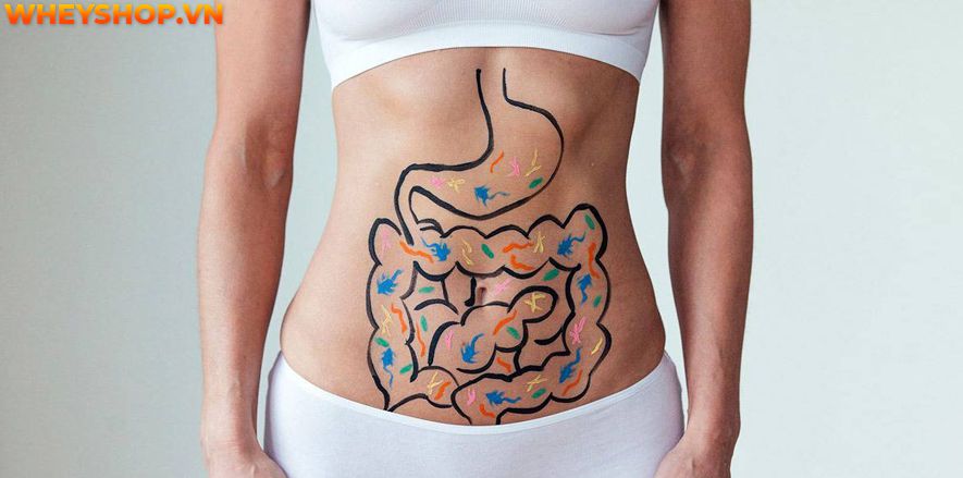 Nếu bạn đang băn khoăn uống mật ong trước khi ngủ giảm cân hay không thì hãy cùng WheyShop tìm hiểu 5 cách uống mật ong trước khi ngủ giảm cân...