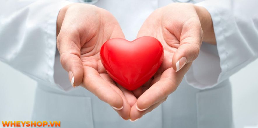 Nếu bạn đang băn khoăn uống mật ong trước khi ngủ giảm cân hay không thì hãy cùng WheyShop tìm hiểu 5 cách uống mật ong trước khi ngủ giảm cân...