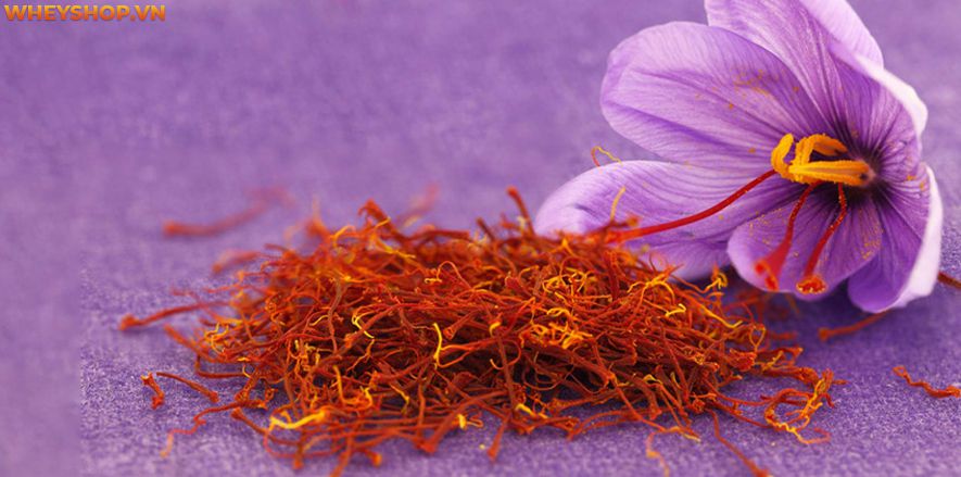 Nếu bạn đang thắc mắc uống nhụy hoa nghệ tây vào lúc nào thì hãy cùng WheyShop tham khảo chi tiết bài viết ngay sau đây...