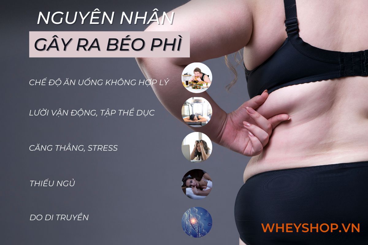 Nếu bạn đang tìm cách giảm cân hiệu quả thì uống nước ấm giảm cân là giải pháp đơn giản cho bạn. Cùng WheyShop tham khảo cách uống nước ấm giảm cân qua bài...