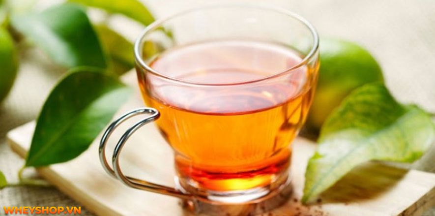 Nếu bạn đang băn khoăn uống nước lá vối có tác dụng giảm cân không thì hãy cùng WheyShop tham khảo chi tiết bài viết sau đây để giải đáp...