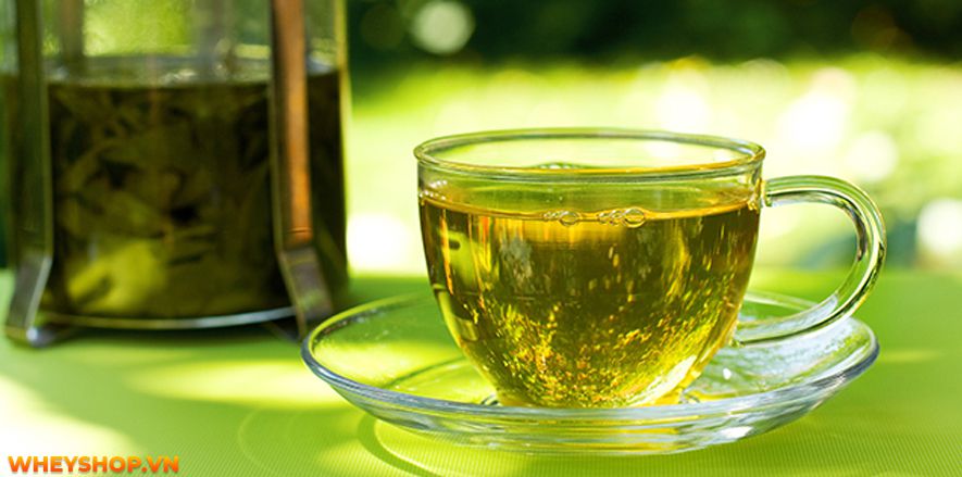 Nếu bạn đang băn khoăn uống nước lá vối có tác dụng giảm cân không thì hãy cùng WheyShop tham khảo chi tiết bài viết sau đây để giải đáp...