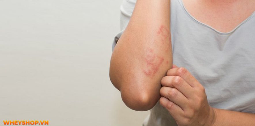 Nếu bạn đang băn khoăn uống nước lá vối có tác dụng giảm cân không thì hãy cùng WheyShop tham khảo chi tiết bài viết sau đây để giải đáp...