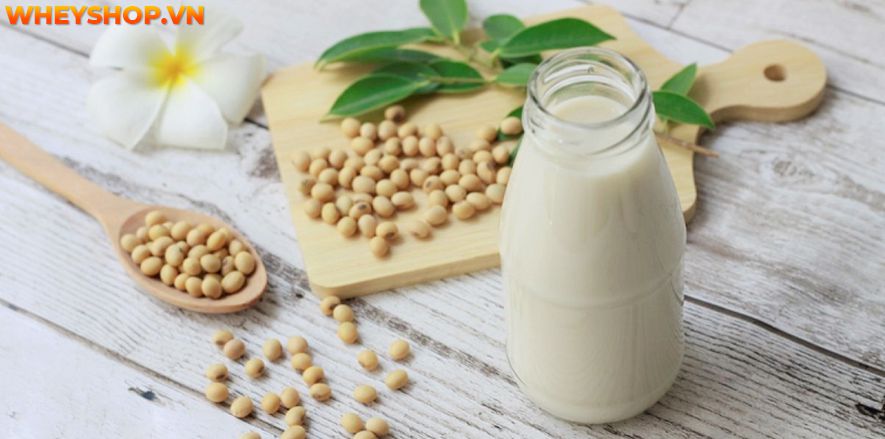 Nếu bạn đang băn khoăn uống sữa đậu nành có tác dụng gì thì hãy cùng WheyShop tham khảo chi tiết bài viết sau đây...