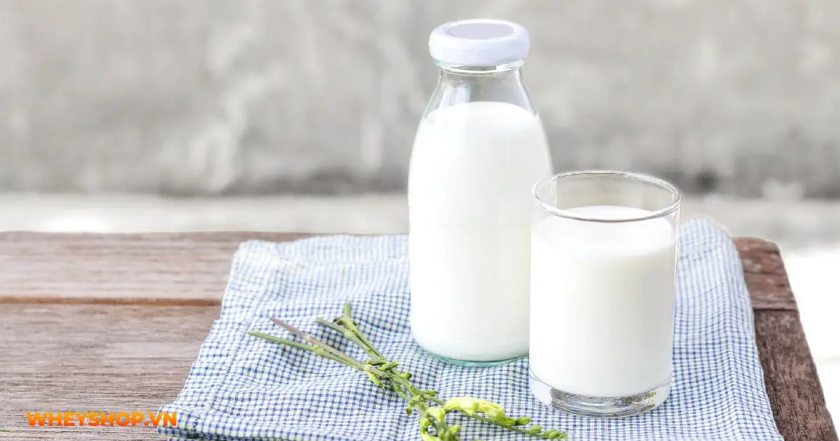 uong-sua-tuoi-truoc-khi-ngu-co-anh-huong-den-suc-khoe-khong-03-min