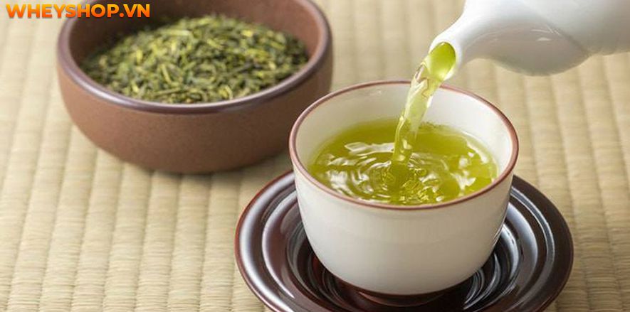 uong-tra-gi-de-giam-mo-bung-top-15-loai-tra-giam-mo-bung-hieu-qua-nhat-hien-nay
