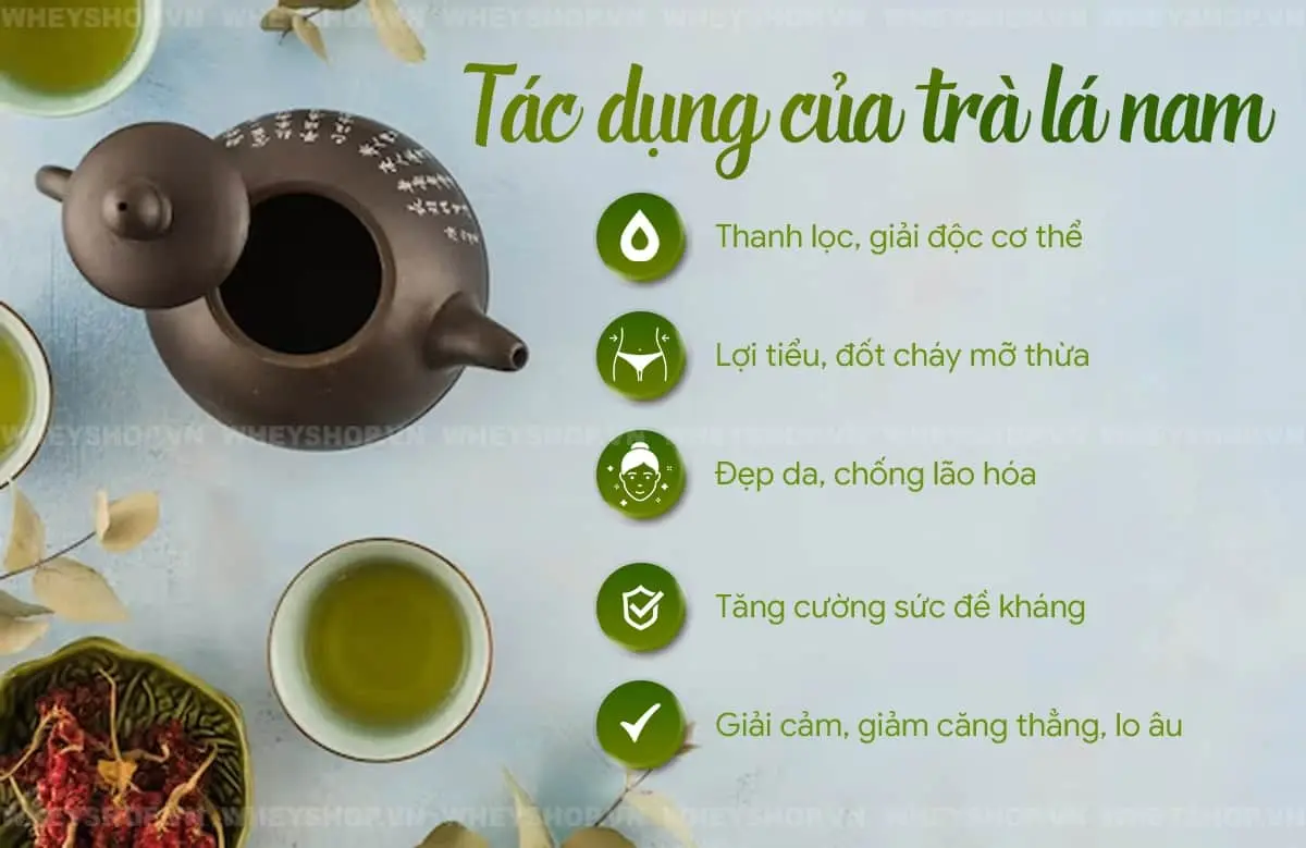 uong-tra-la-nam-giam-can-co-tot-khong-5-loai-tra-5