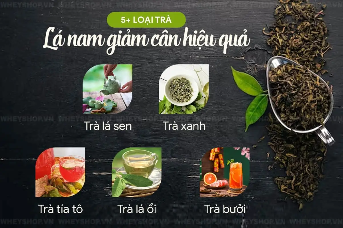 uong-tra-la-nam-giam-can-co-tot-khong-5-loai-tra-5