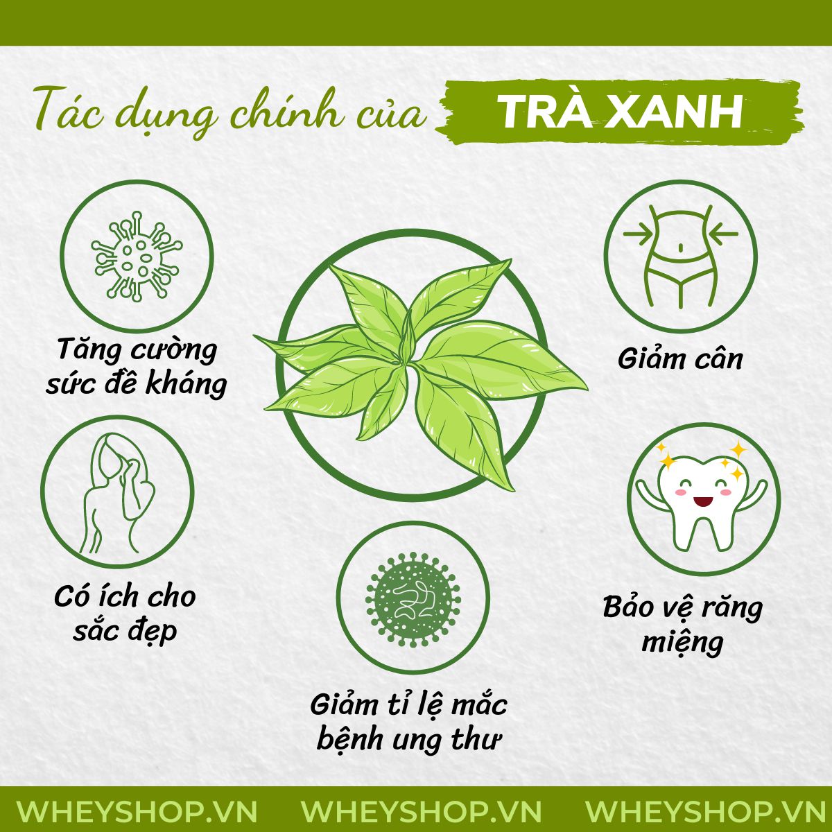 Nếu bạn đang băn khoăn không biết uống trà xanh như thế nào để giảm cân thì hãy cùng WheyShop tham khảo chi tiết bài viết ngay sau đây nhé...