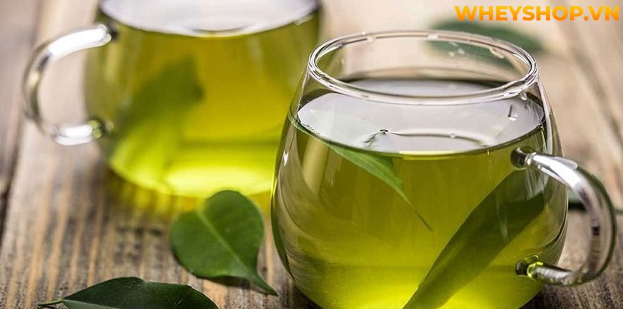 Nếu bạn đang băn khoăn không biết uống trà xanh như thế nào để giảm cân thì hãy cùng WheyShop tham khảo chi tiết bài viết ngay sau đây nhé...