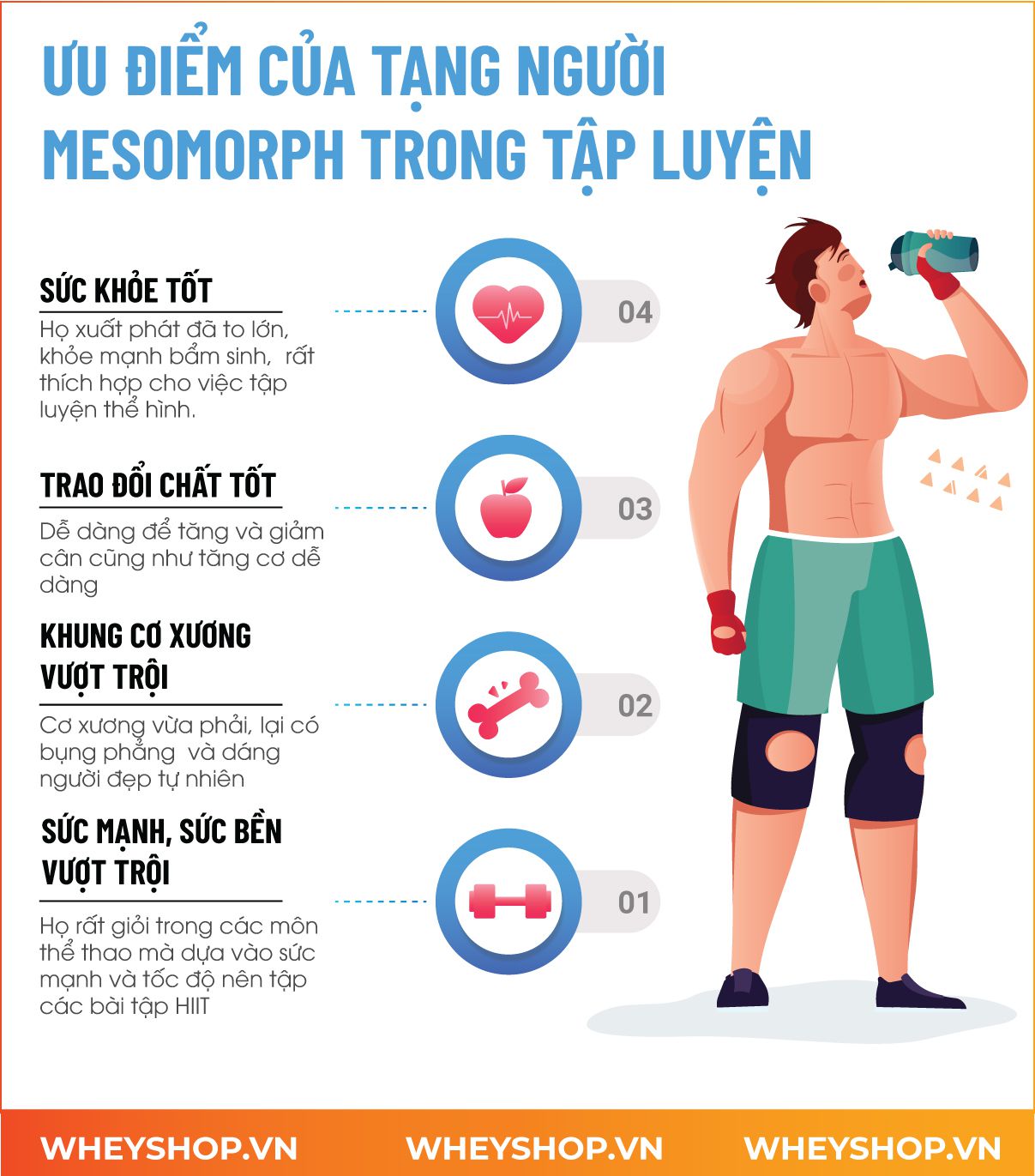 Nếu bạn chưa biết mình có phải tạng người Mesomorph để tập thể hình không thì hãy cùng WheyShop tìm hiểu thông qua bài viết sau nhé...