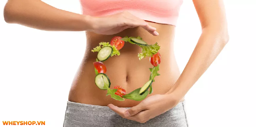 Bánh mì nguyên cám thường là lựa chọn tốt nhất cho sức khỏe. Bài viết này, WheyShop sẽ giải đáp bánh mì nguyên cám là gì và ăn bánh mì nguyên cám như thế...